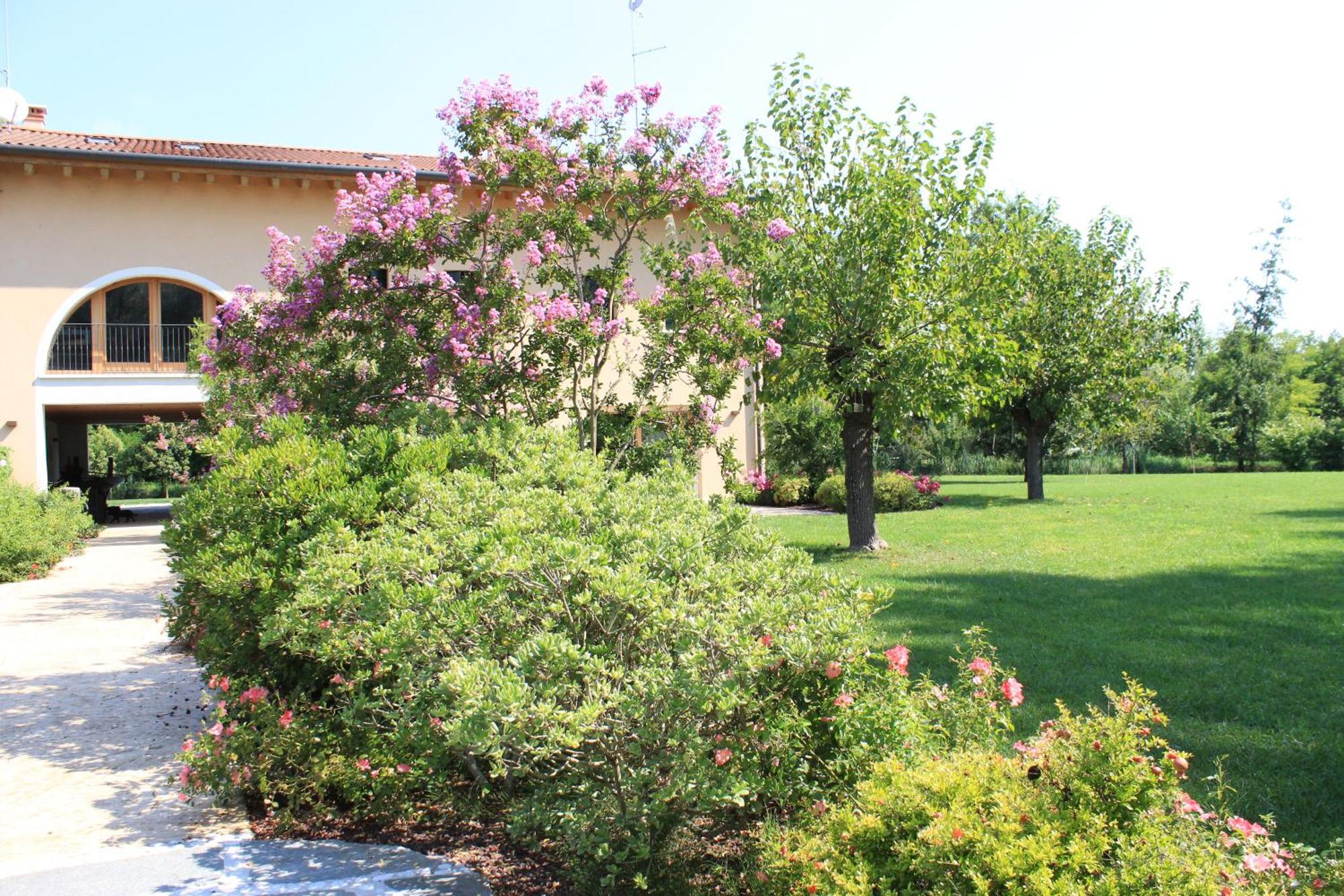 Bed and Breakfast Ca' Del Sile Morgano Номер фото